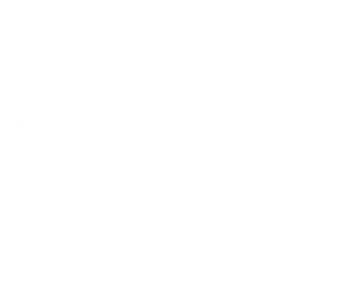Optim'us